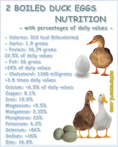 Duck Eggs Nutrition Facts For Two Boiled Duck Eggs Natureword