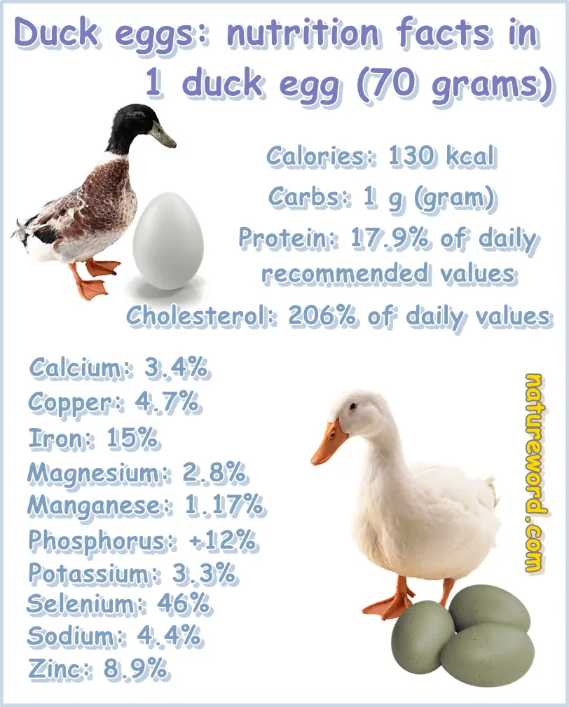 Duck Eggs Nutrition Facts Per One Duck Egg NatureWord