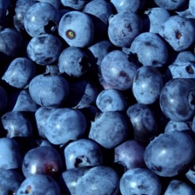 Blueberry Fruit