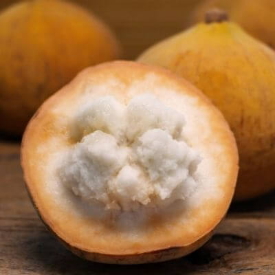 Santol