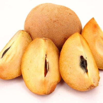 Sapodilla