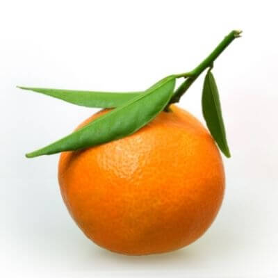 Satsuma