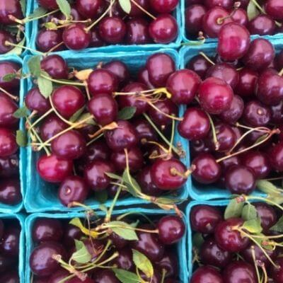 Tart cherries in boxes