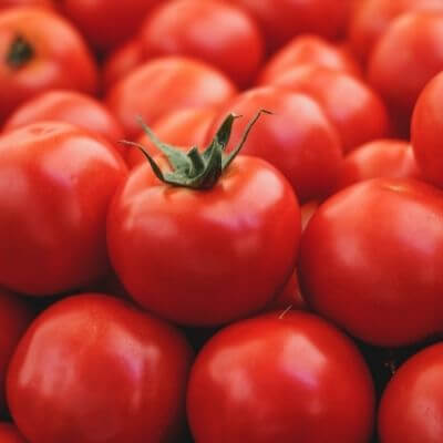 Tomato