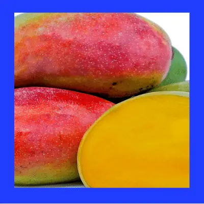 Valencia pride mango