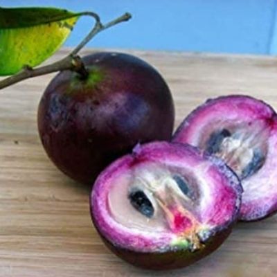 star apple 