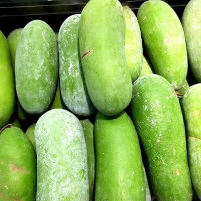 wax gourd