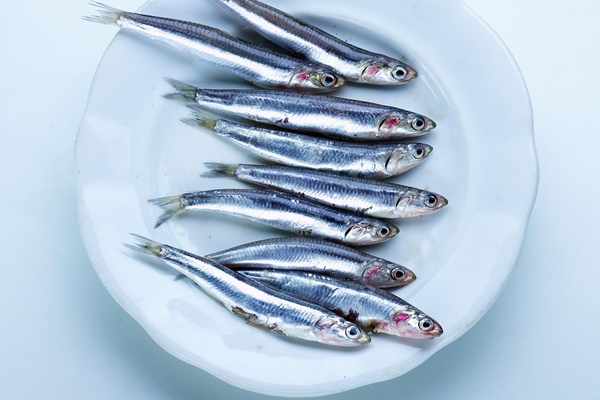 Anchovies 