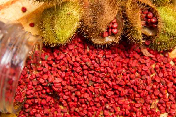 Annatto Seeds