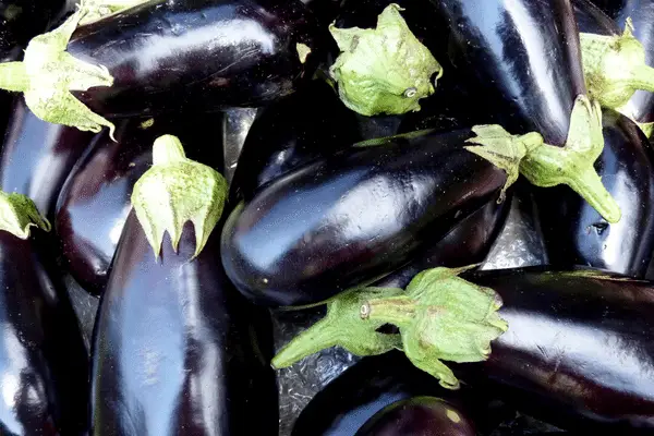 Eggplant 