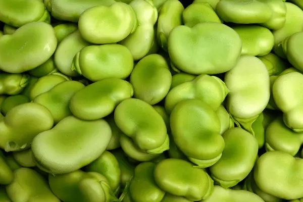 Fava beans 