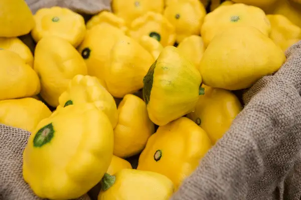 Patty Pan