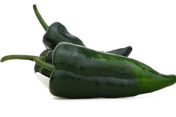 Poblano Peppers