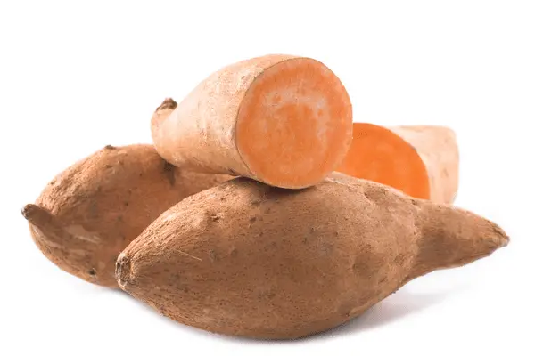 Sweet Potato 