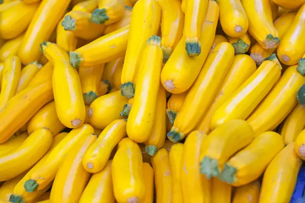 Yellow Squash as substitute for zucchini