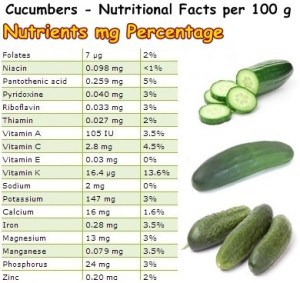 Nutritional Facts Cucumbers – NatureWord