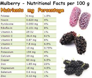 Properties And Benefits Of Mulberries - NatureWord