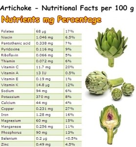 artichoke natureword