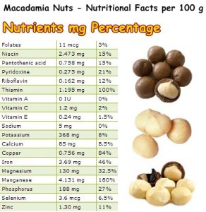 Properties and Benefits of Macadamia Nuts - NatureWord