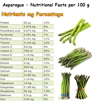 Properties and Benefits of Asparagus - NatureWord