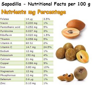 Properties and Benefits of Sapodilla - NatureWord