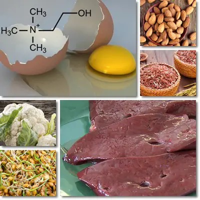 Foods rich in choline – NatureWord