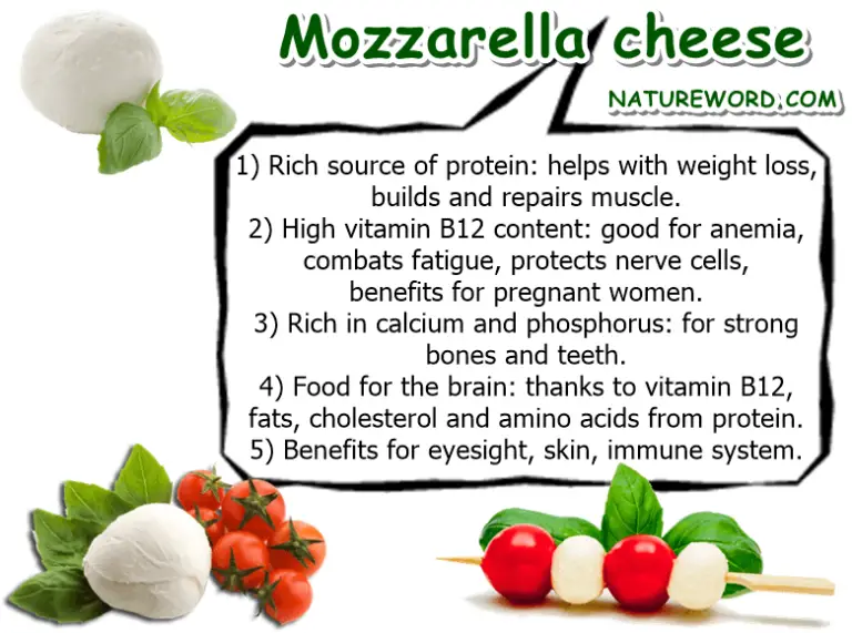 11 Surprising Health Benefits of Mozzarella NatureWord