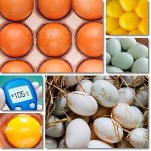 The Glycemic Index of Eggs - NatureWord