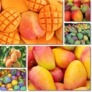 The Glycemic Index of Mango - NatureWord