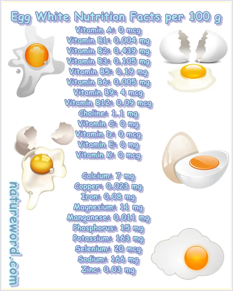 Egg White Nutrition Facts Per 100 Grams NatureWord