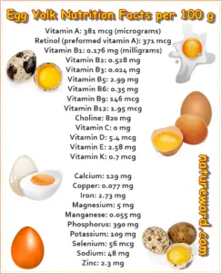 yolk nutritional natureword