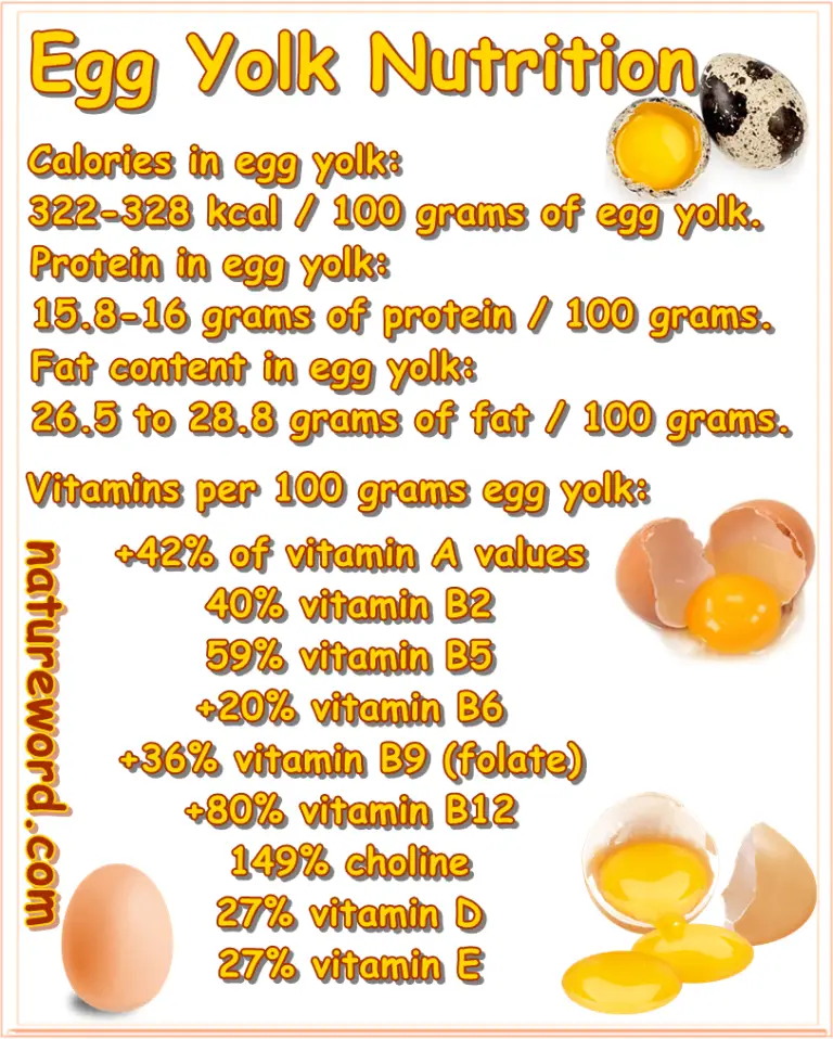 Egg Yolk Nutrition NatureWord