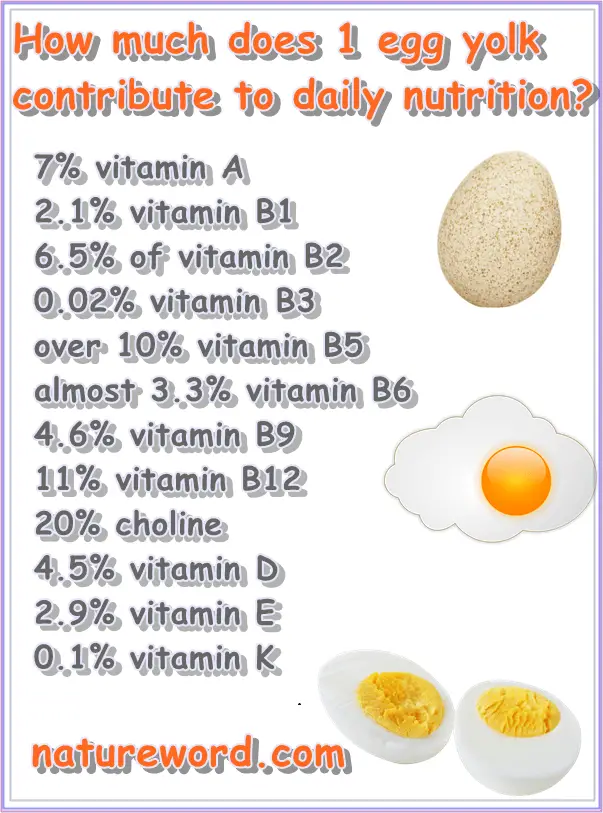 Egg Yolk Nutrition Facts Per 1 Egg Yolk NatureWord