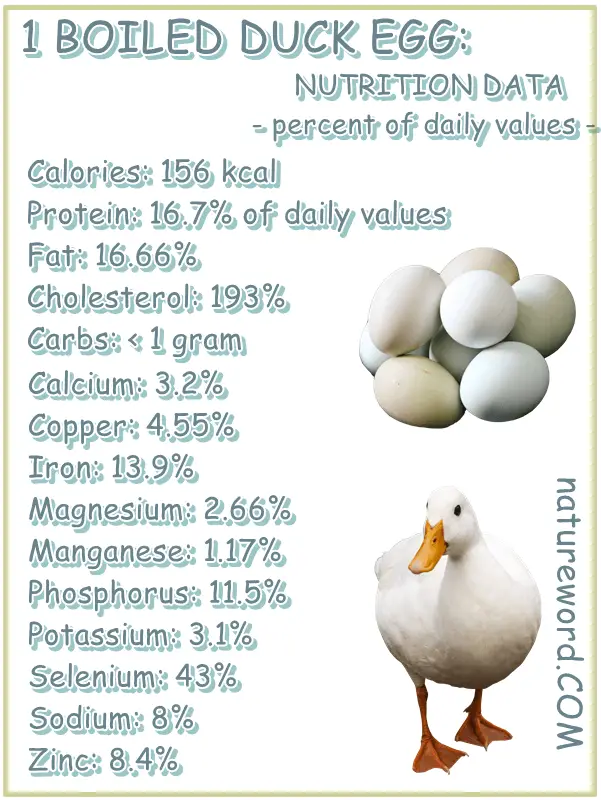 Duck Eggs Nutrition Data For One Boiled Duck Egg NatureWord