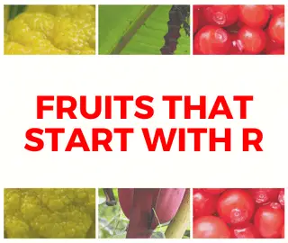 Fruits That Start With R