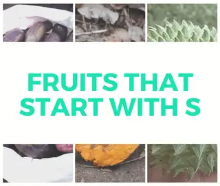 Fruits That Start With S