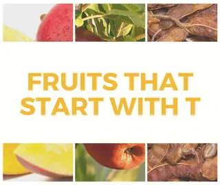 Fruits That Start With T