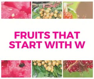 Fruits That Start With W