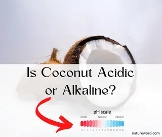 Coconut: Acidic or Alkaline?