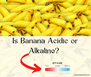 Is Banana Acidic or Alkaline?