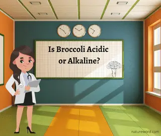 Is Broccoli Acidic or Alkaline