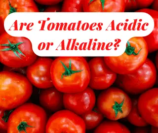 Are Tomatoes Acidic or Alkaline?