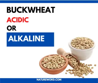 Buckwheat Acidic or Alkaline