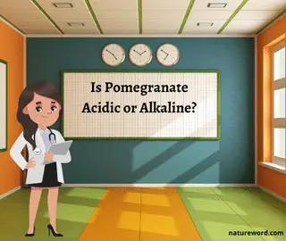 Pomegranate Acidic or Alkaline