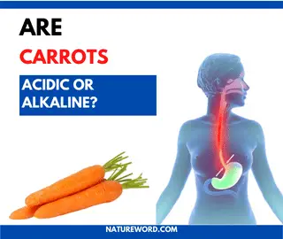 carrots acidic or alkaline