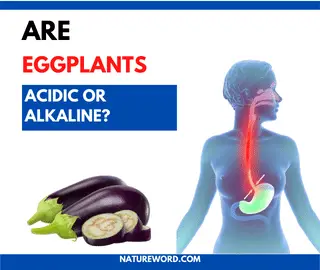 eggplants acidic or alkaline