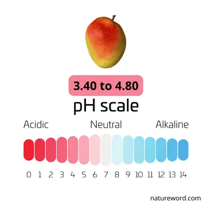 ph value of mango