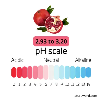 ph value of pomegranate