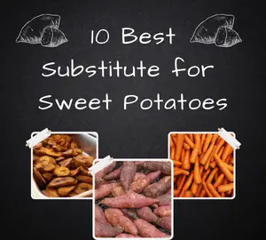 10 Best Substitute for Sweet Potatoes