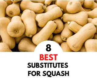 8 Best Healthy Substitutes For Squash To Try !! - NatureWord